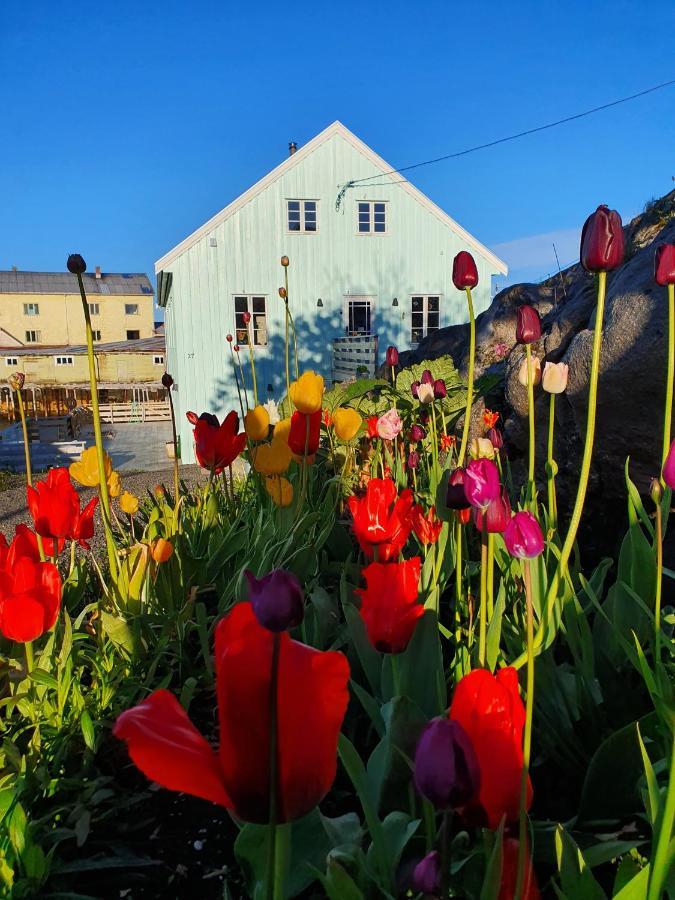 Lysvoldbrygga Bed & Breakfast Henningsvaer Exterior photo